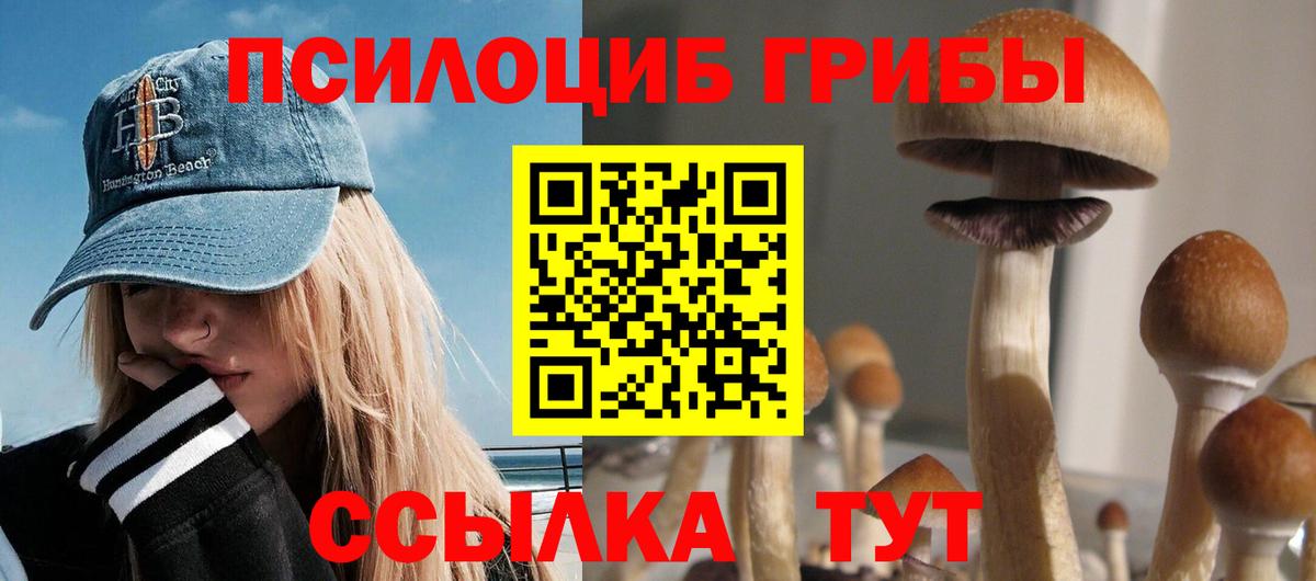 Псилоцибиновые грибы Psilocybine cubensis Кириши